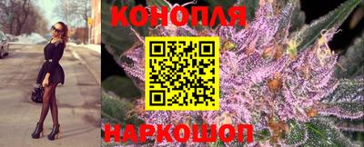 спайс Шелехов