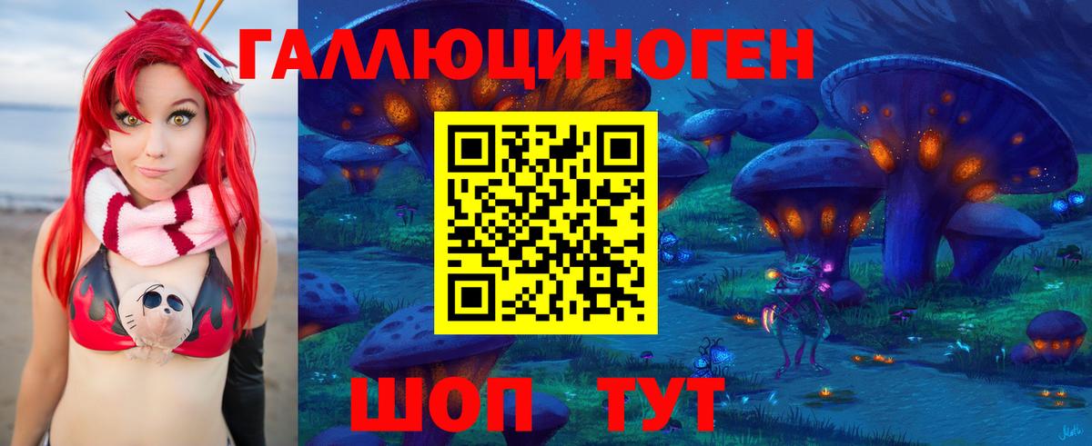 Апрелевка  Галлюциногенные грибы Cubensis  Вход с VPN  Псилоцибиновые грибы GOLDEN TEACHER 